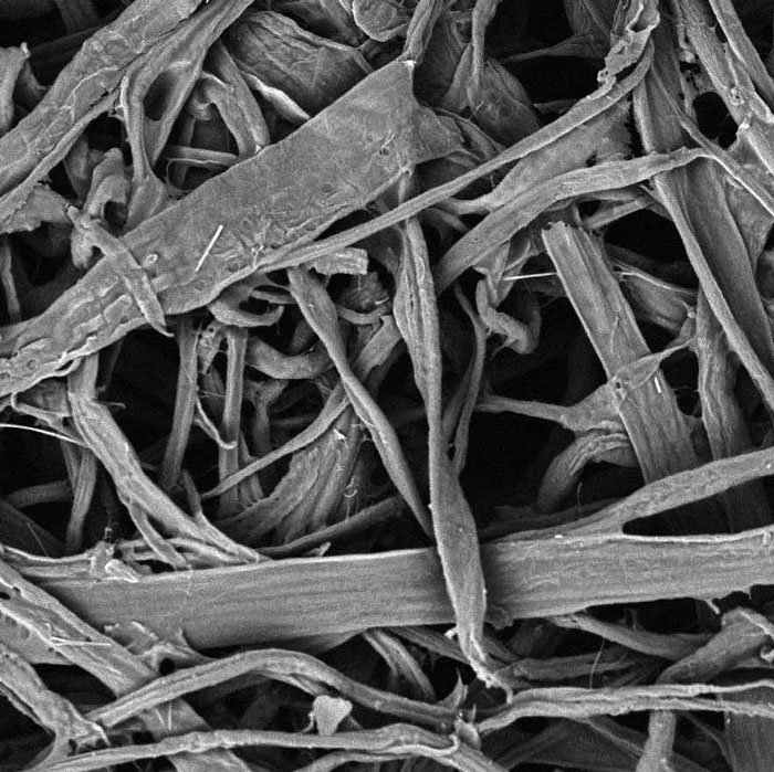 Filter_Cellulose_Media